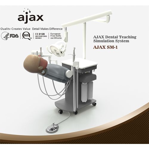 Ajax Phantom Head Teaching System *7 Year Warranty*