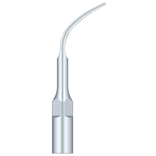 Supragingival Scaling G4