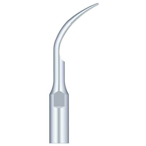 Supragingival Scaling GD1