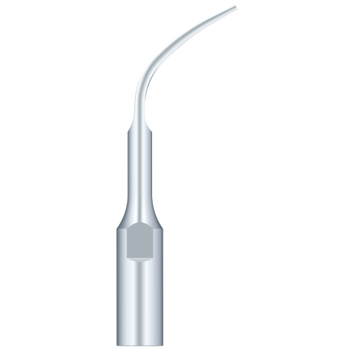 Supragingival Scaling GD4