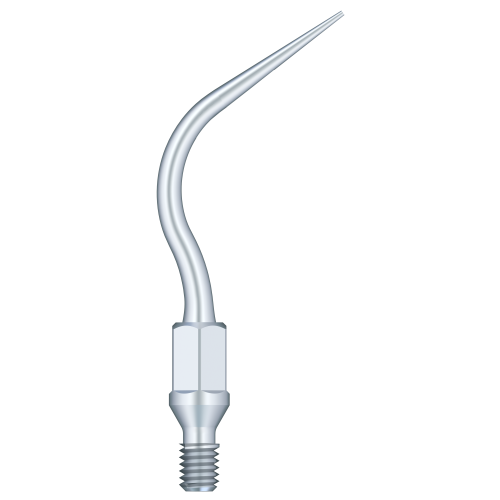 Supragingival & Subgingival Scaling GK5