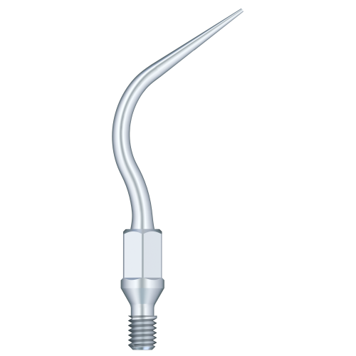 Supragingival & Subgingival Scaling GK6