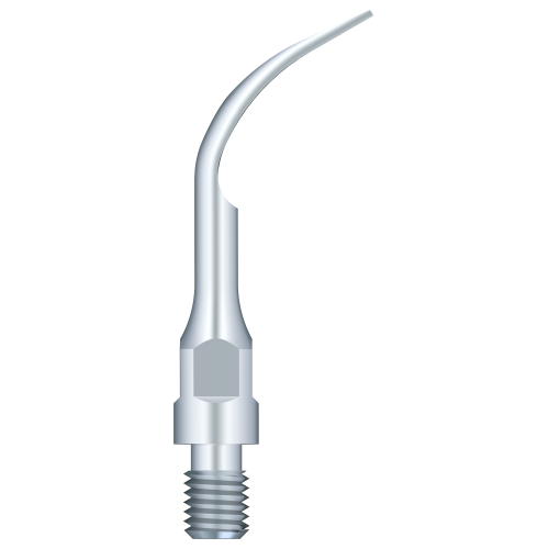 Supragingival Scaling GS2