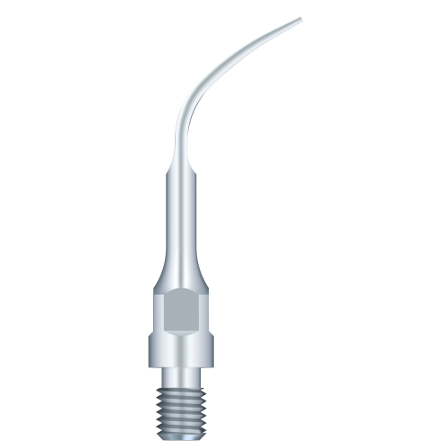 Supragingival Scaling GS4