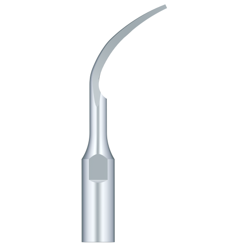Periodental Scaling PD1