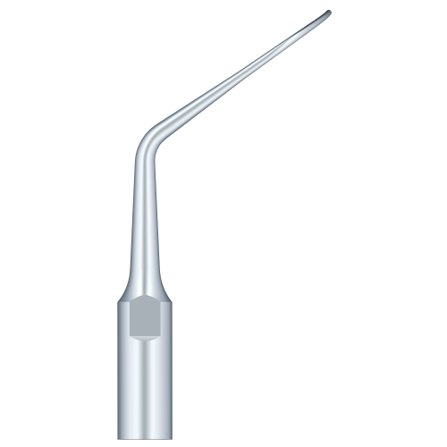 Woodpecker Periodental Scaling PD2L