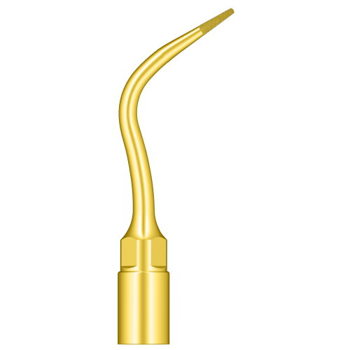 Bone Remodeling And Root Canal Enlargement UP7