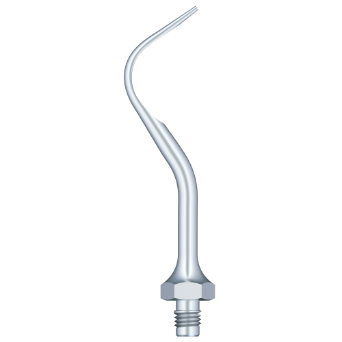 Supragingival Scaling A1