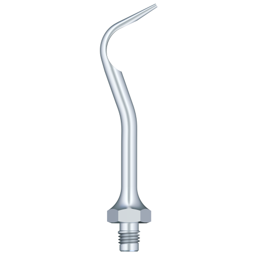 Supragingival Scaling A2