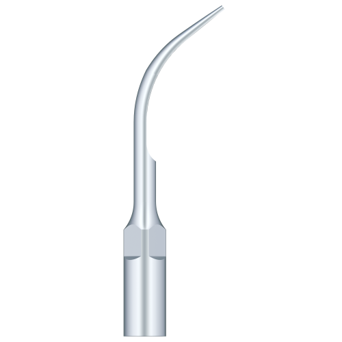 Supragingival Scaling G5