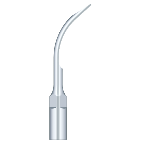 Supragingival Scaling G6
