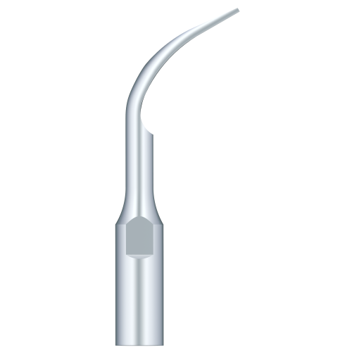 Supragingival Scaling GD2