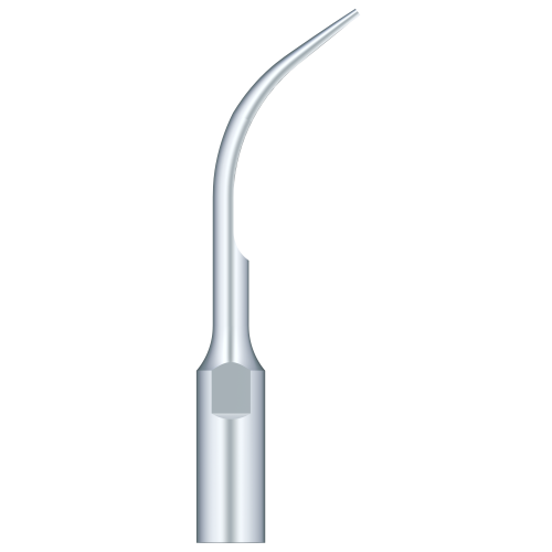 Supragingival Scaling GD5