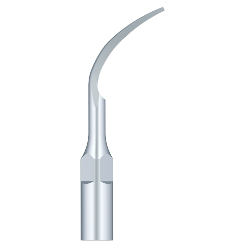 Periodental Scaling P1