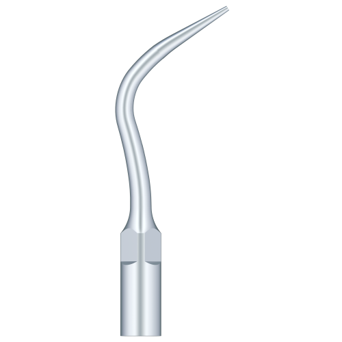 Periodental Scaling P4
