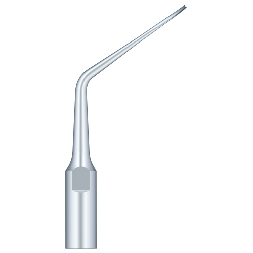 Periodental Scaling PD2R