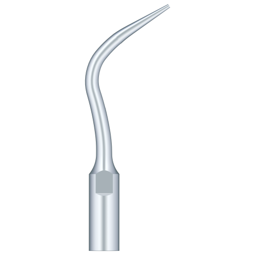 Woodpecker Periodental Scaling PD4