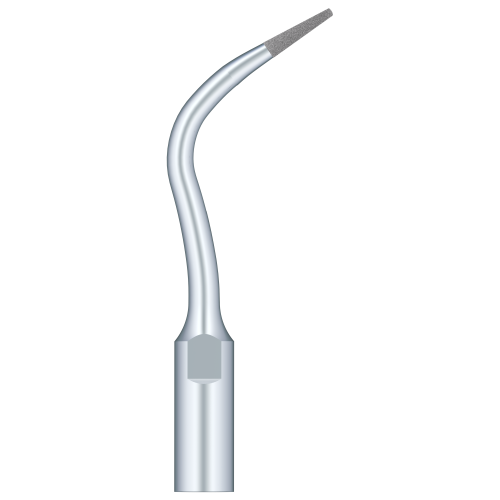 Remove Calcificationin The Coronal Third Of The Roof Canal PD4D