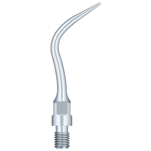 Periodontal Scaling PS4