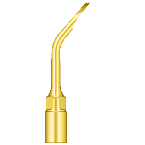 Bone Chip Harvesting Crown Lengthening US4